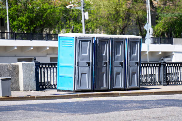 Best Sanitation services for porta potties  in Ferndale, MD